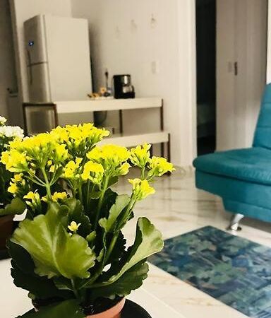 Apartamento No Andar Terreo Foz do Iguaçu Buitenkant foto